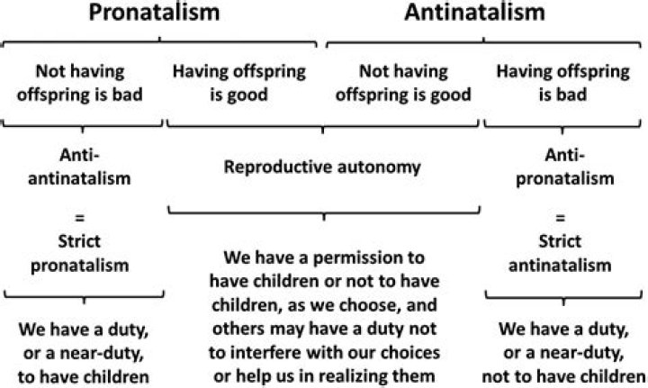 What is an example of Antinatalist?