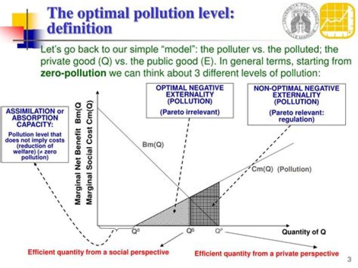 What is an optimal level of pollution?