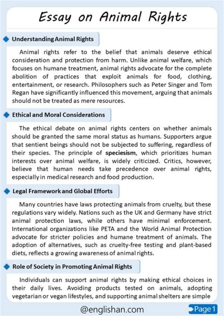 What is animal rights essay?