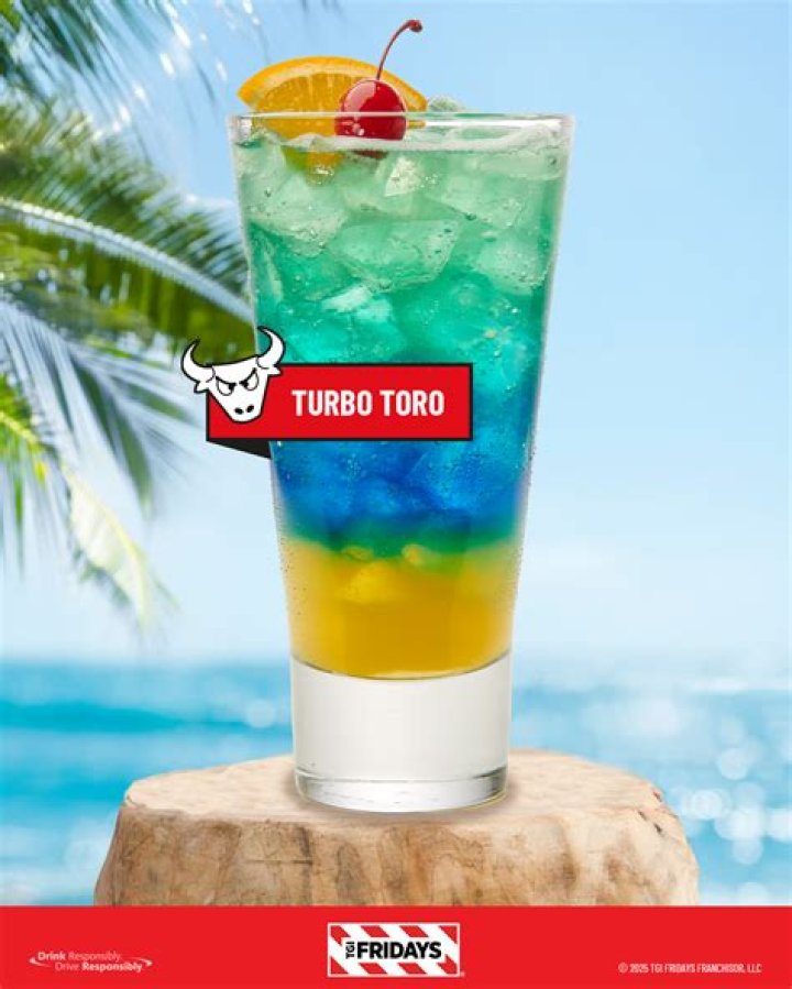 What is Anis del Toro drink?