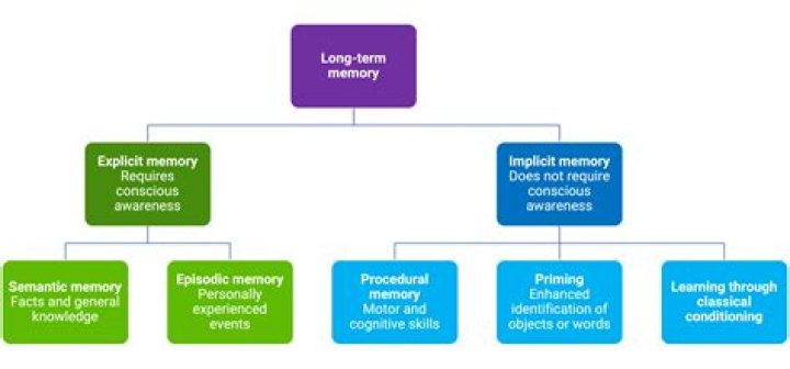 What is another name for long-term memory?