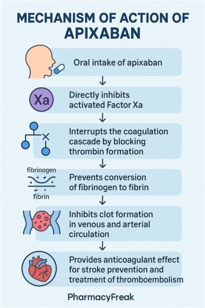 What is apixaban and how does it work?