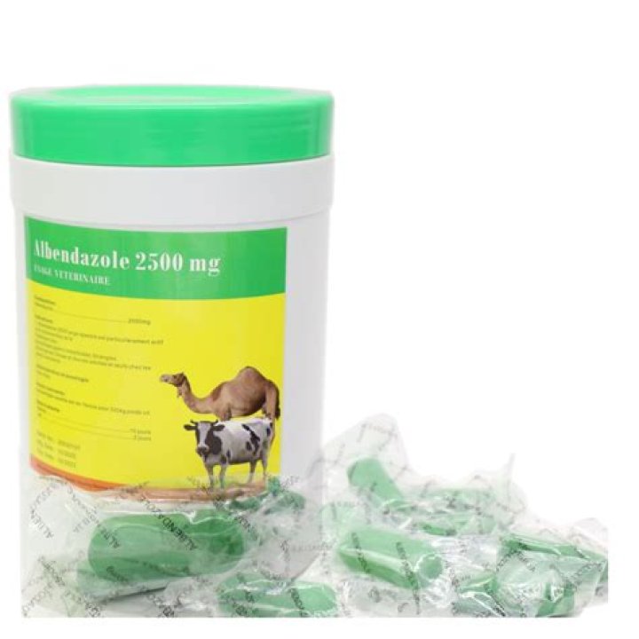 What is bolus for sheep?