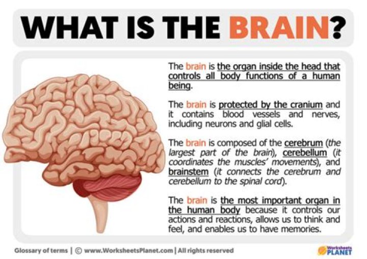 What is brain-to-brain communication called?