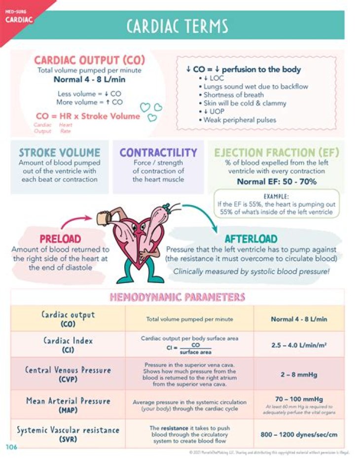 What is cardiac in medical terms?