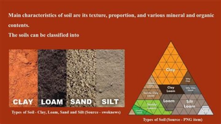 What is Cecil clay loam?