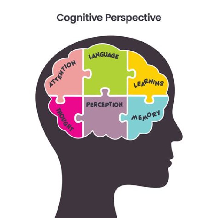 What is cognitive theory of perception?