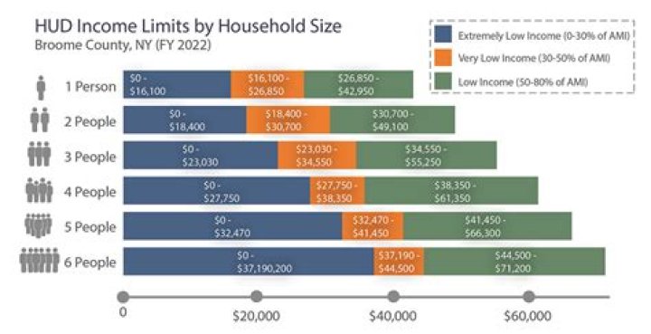 What is considered low income or poverty level?