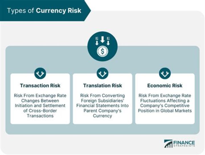 What is currency risk and how its effects can be reduced?