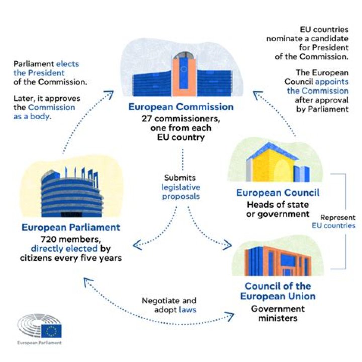 What is DG in European Commission?