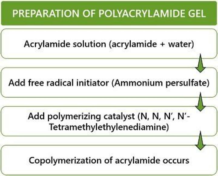 What is difference between agarose and polyacrylamide gel?