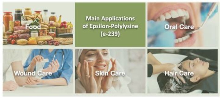 What is e polylysine?