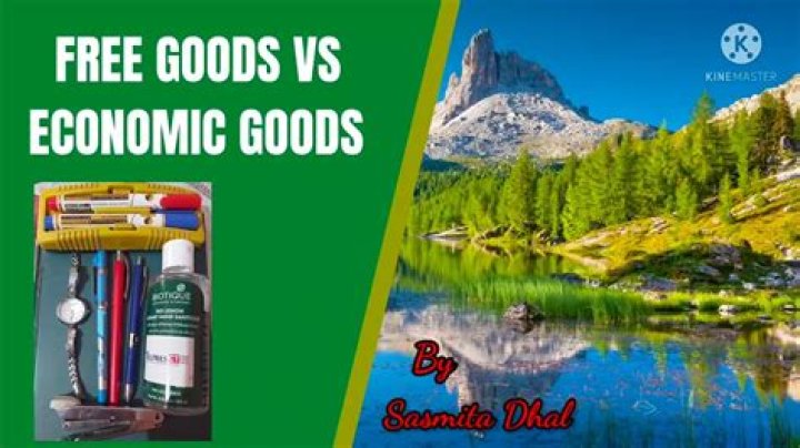 What is economic and free goods?