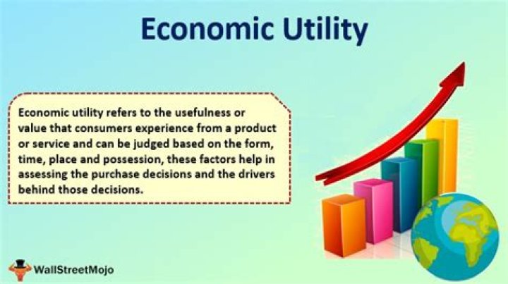 What is economic utility quizlet?