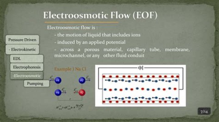 What is electro osmotic theory?