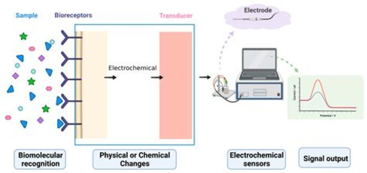 What is electroanalytical sensor?