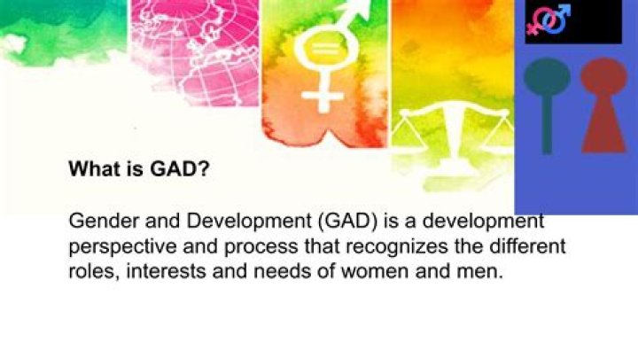 What is Gender and Development in education?