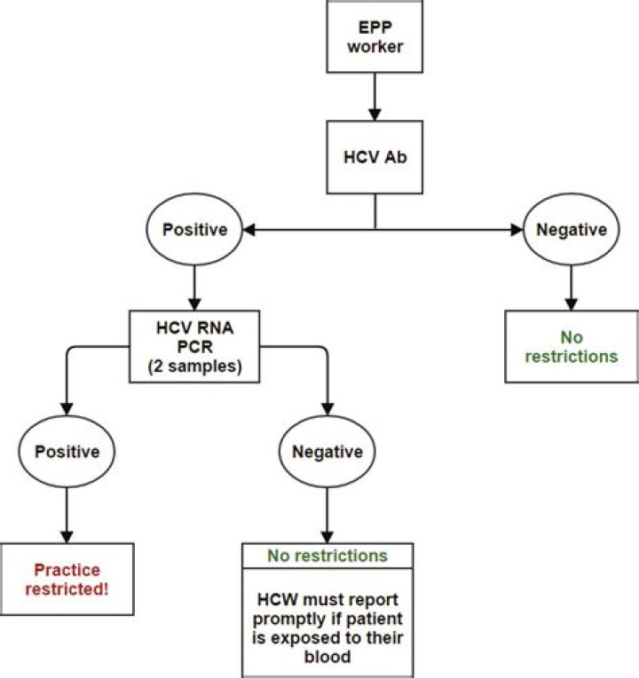 What is HCV status?