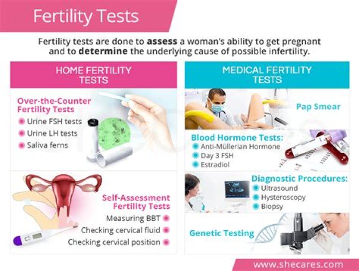 What is involved in a fertility test?