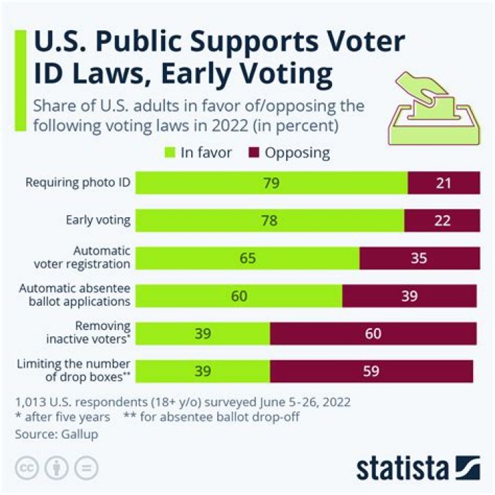 What is it called when citizens vote on issues?