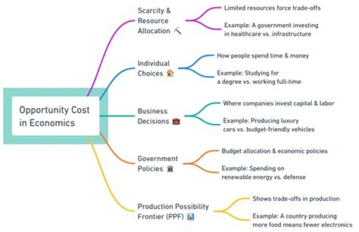 What is it called when opportunity costs are compared with benefits?