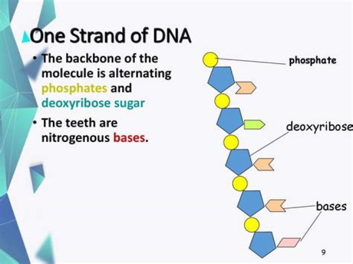 What is ititgs strand 1?