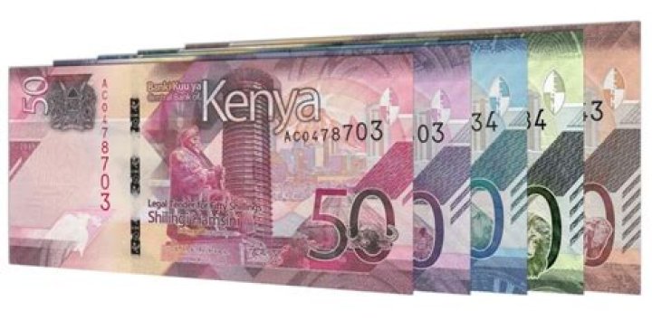 What is Kenyan money called?