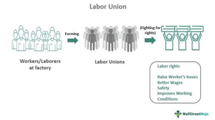 What is labor organization?