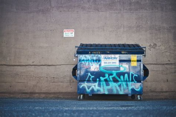 What is Lars eighner On Dumpster Diving about?