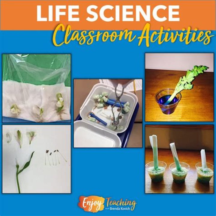 What is life science for 4th graders?