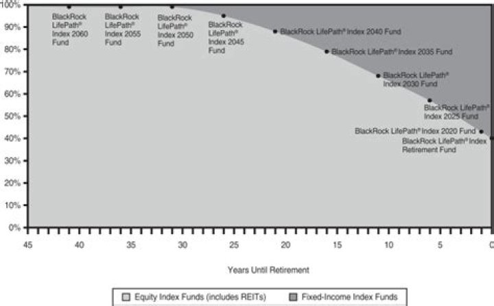 What is LifePath 2040 fund?