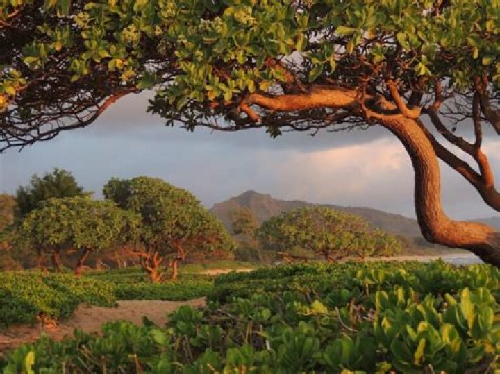 What is Lihue known for?