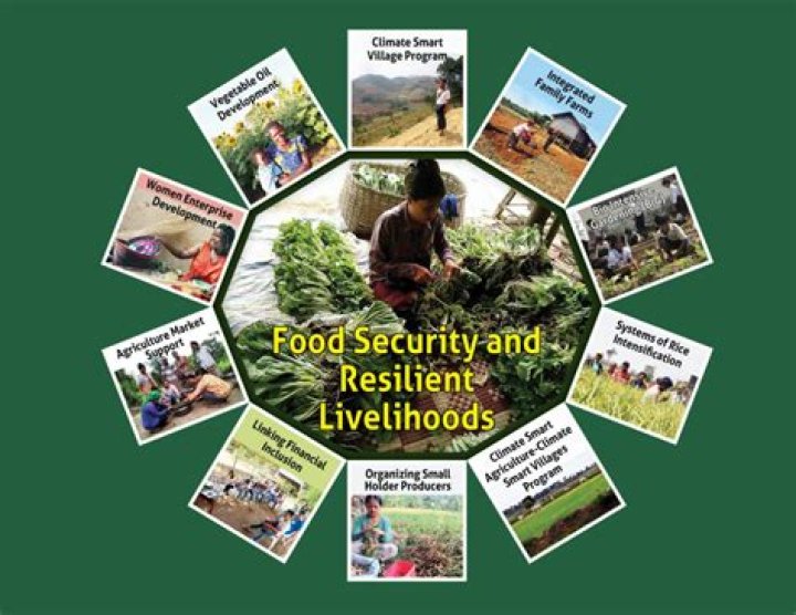 What is livelihood security?