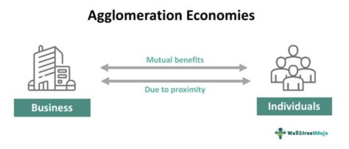 What is meant by agglomeration economy?