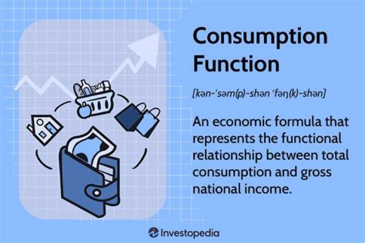 What is meant by consumption function?