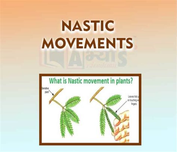 What is meant by Nastic response?