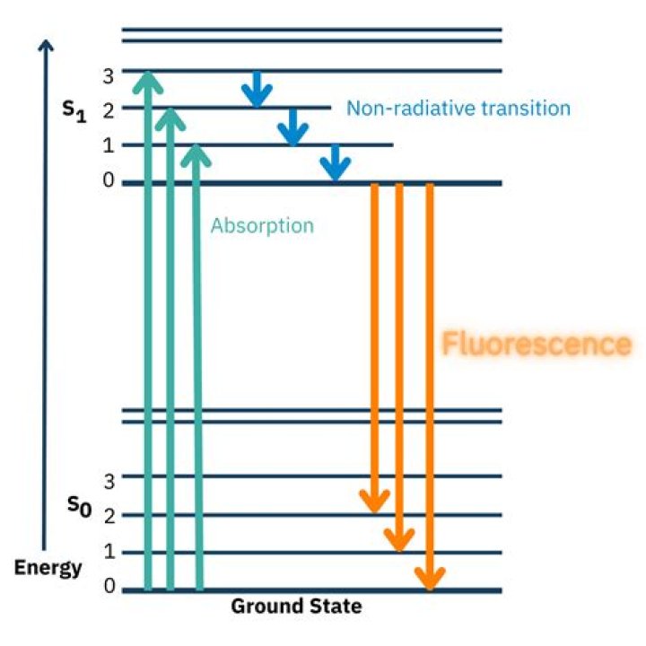 What is mechanism of fluorescence?
