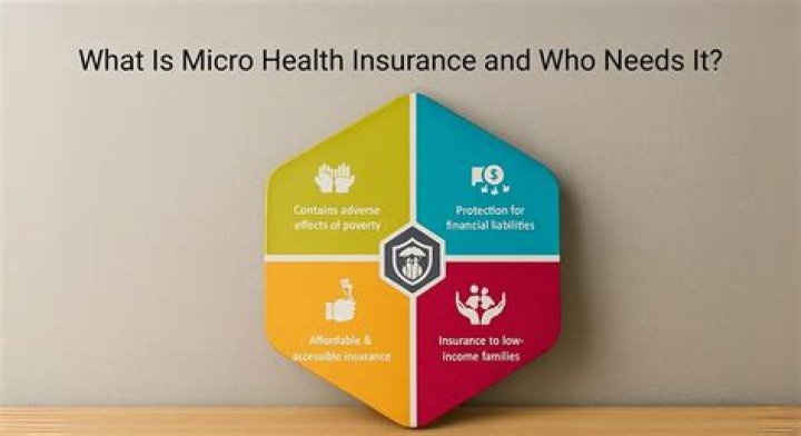 What is micro health insurance?
