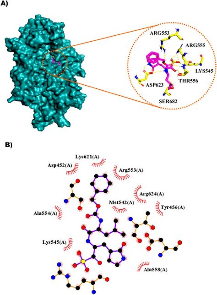 What is mixed ligand complexes?