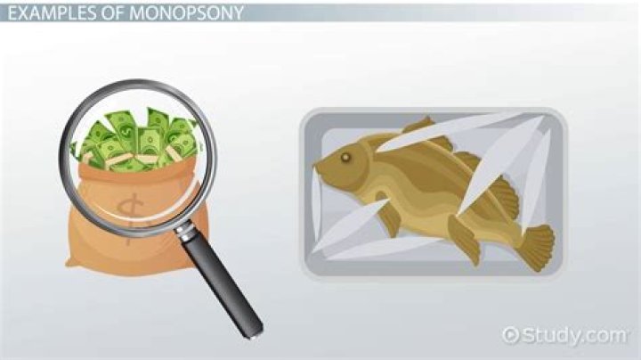 What is monopsony explain with example?