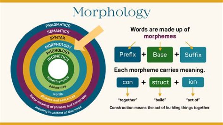 What is morphology according to Mathew 1993?