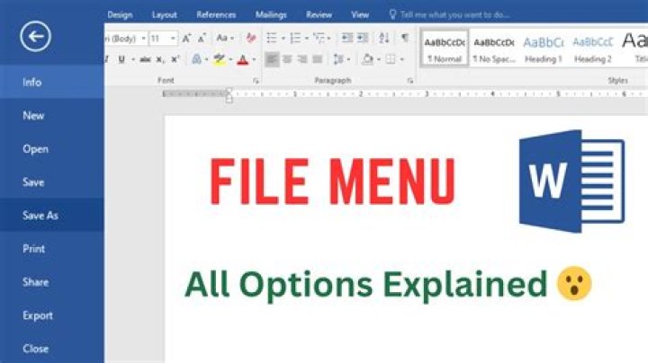 What is MS Word menu?