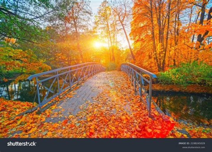 What is nature imagery on Shutterstock?