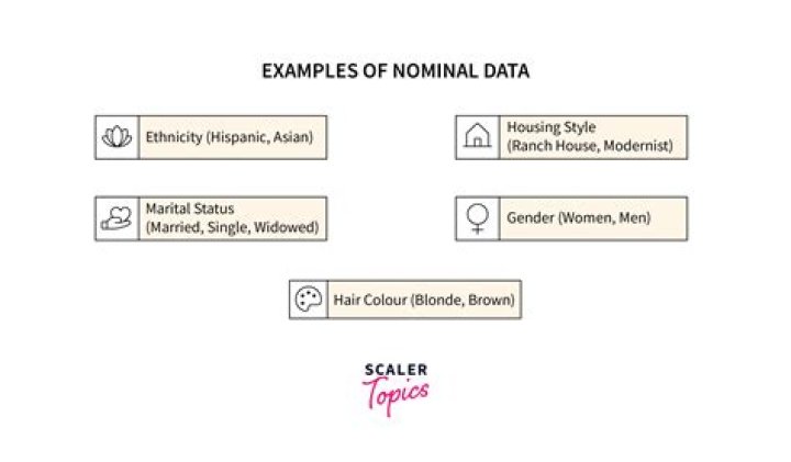 What is nominal data in statistics examples?