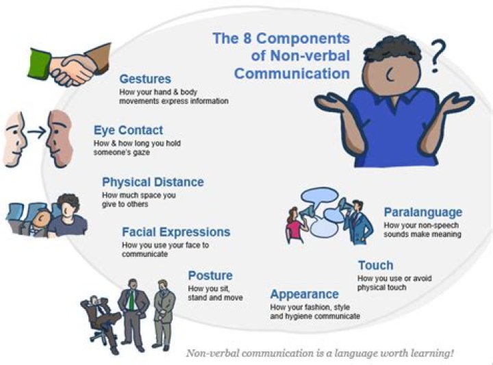What is non verbal comprehension?