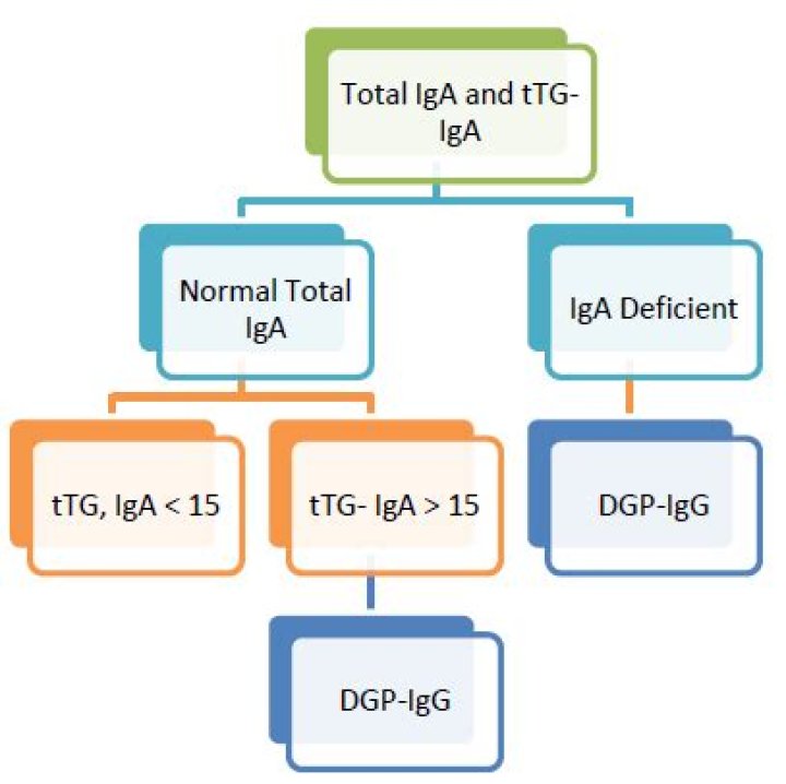 What is normal tTG IgA level?