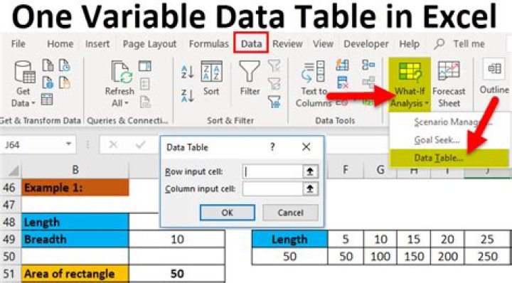 What is one variable data table explain with an example?