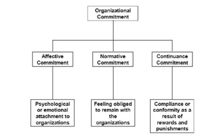 What is Organisational commitment scale?