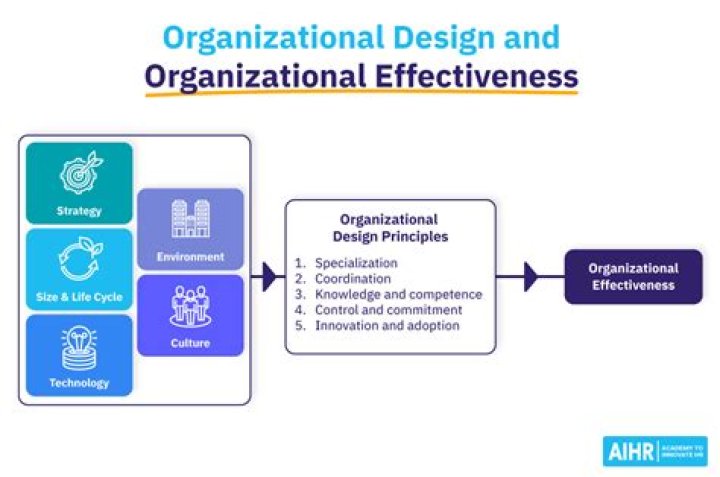 What is organizational design and effectiveness?