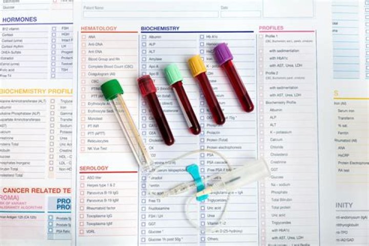 What is PHA in a blood test?